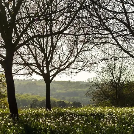 La Roque Haute * Mazeyrolles