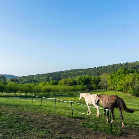 度假居 La Roque Haute Mazeyrolles