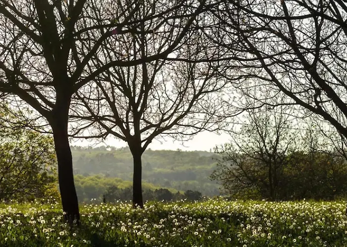 La Roque Haute * Mazeyrolles