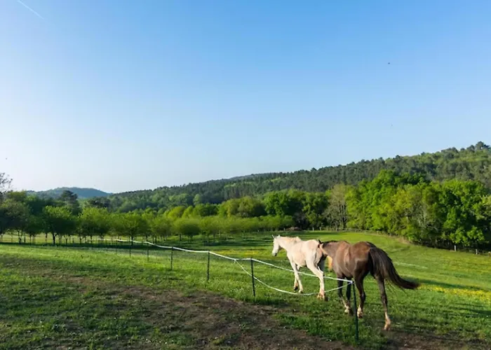 Ferienhaus La Roque Haute Mazeyrolles